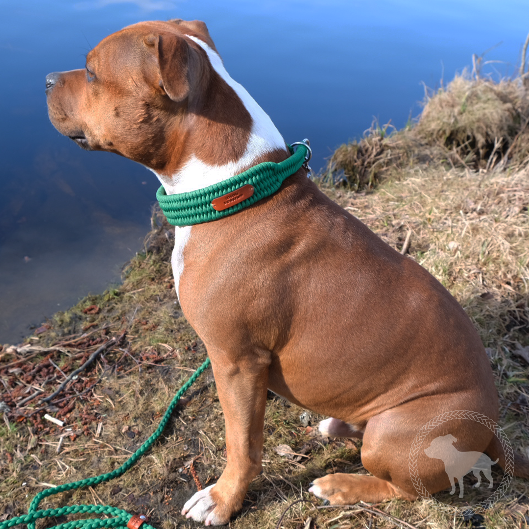 Wide Retriever Collar
