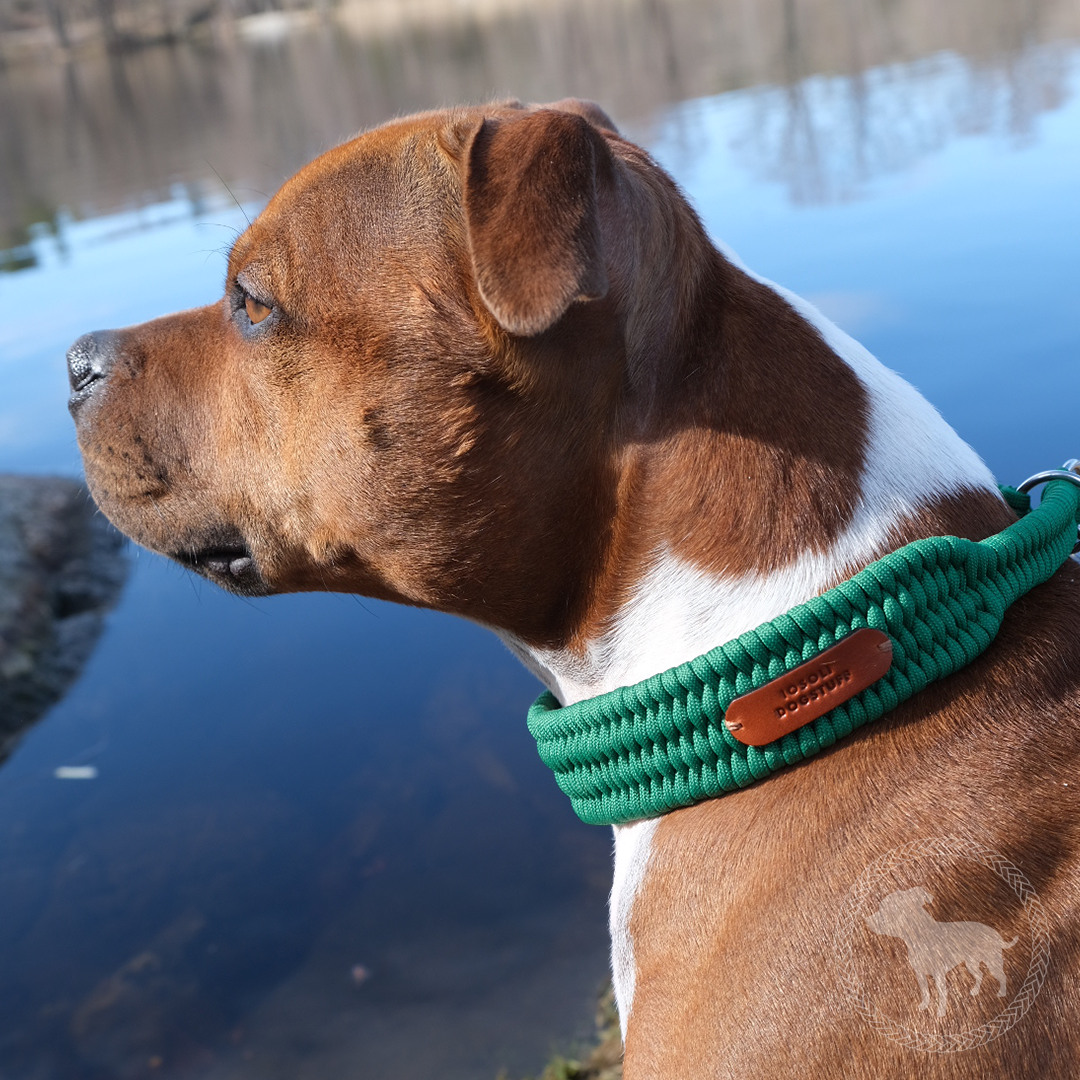 Wide Retriever Collar