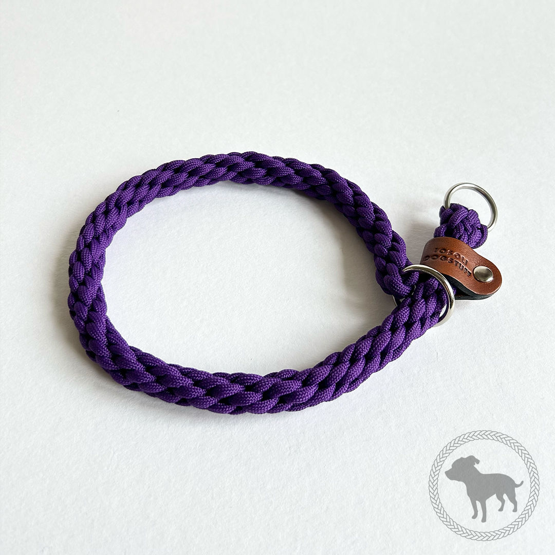 Retriever Collar