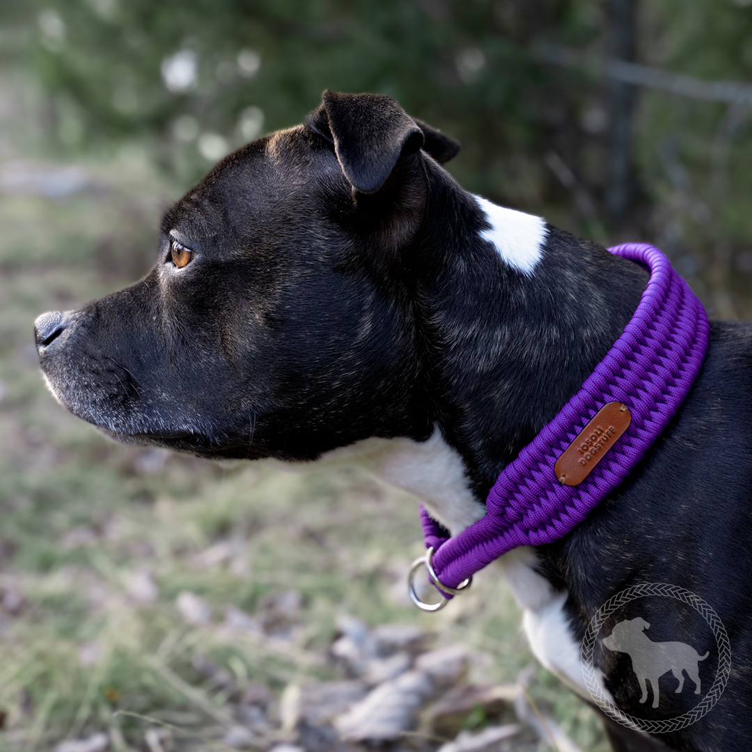 Wide Retriever Collar