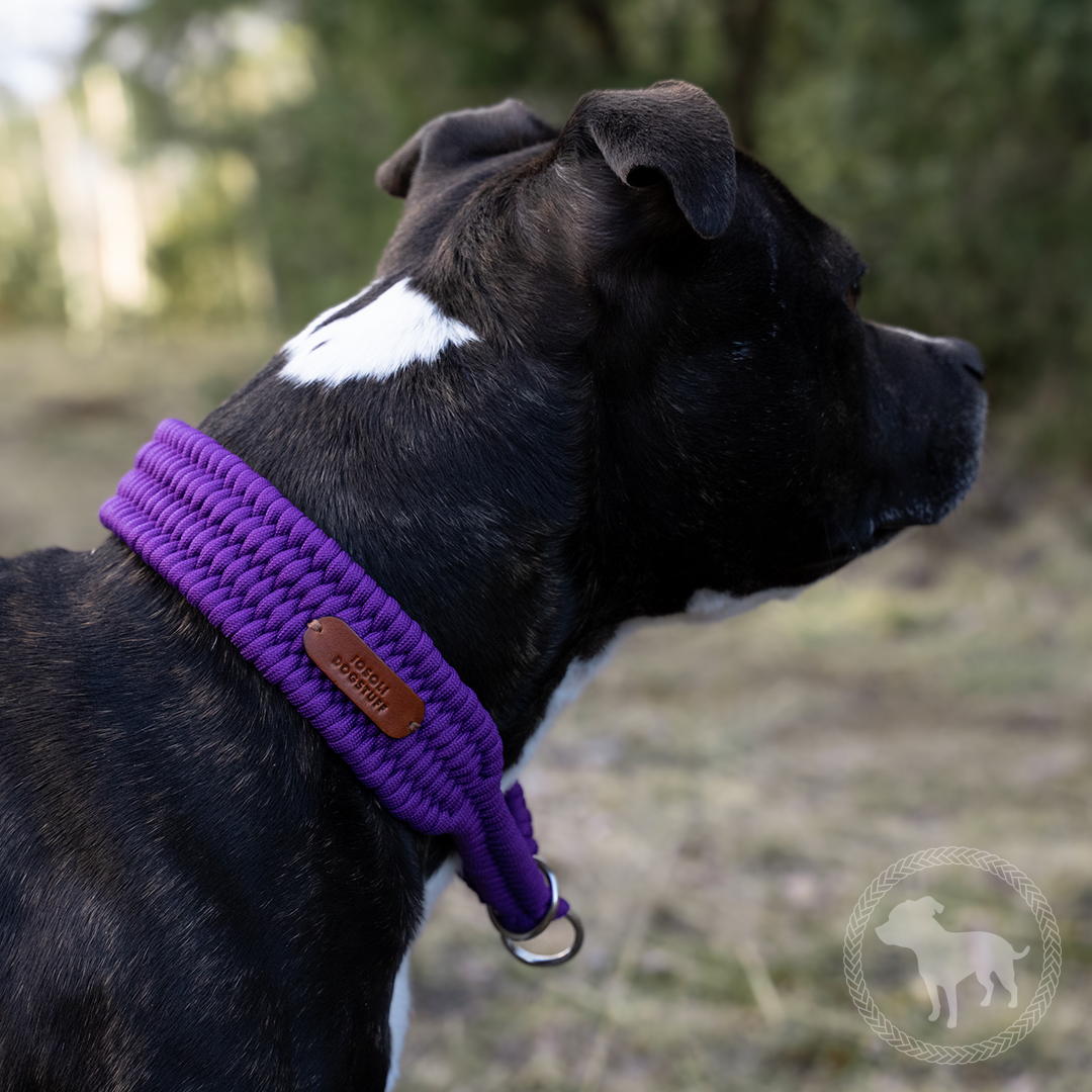 Wide Retriever Collar