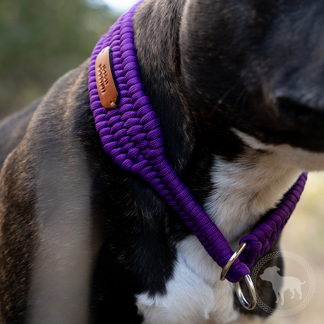 Wide Retriever Collar