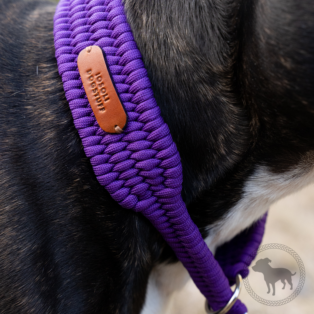 Wide Retriever Collar