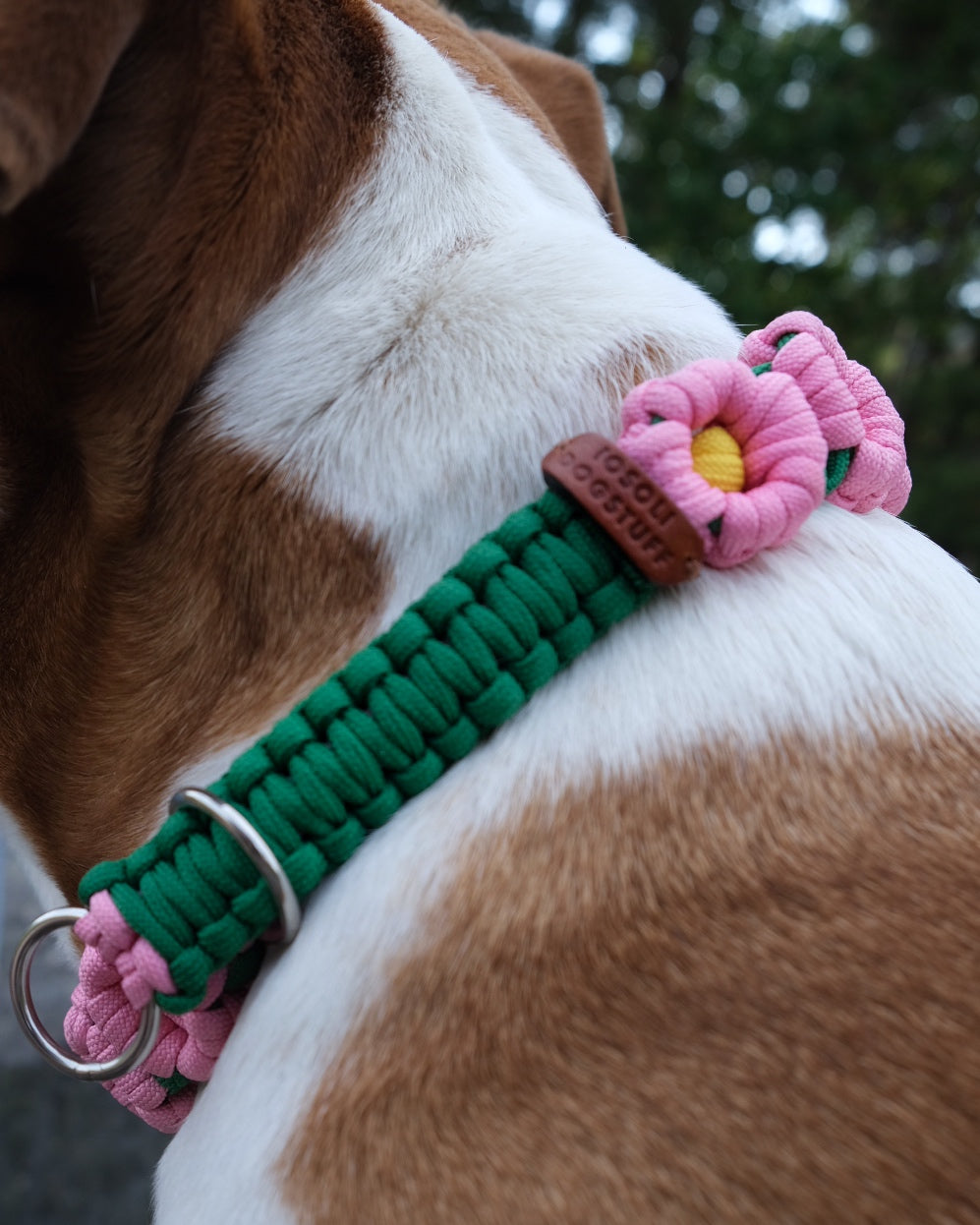 Midsummer Retriever Collar