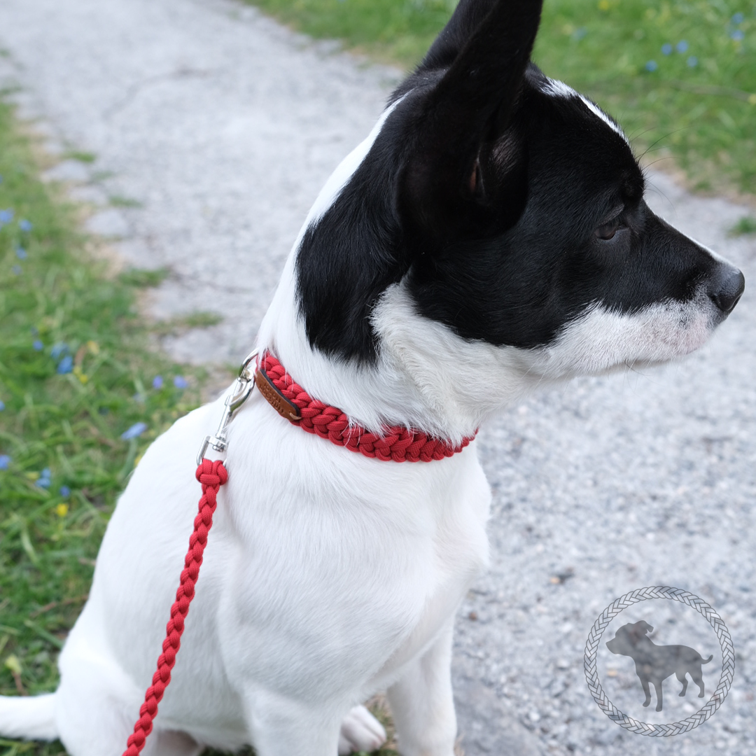 Just Me Collar