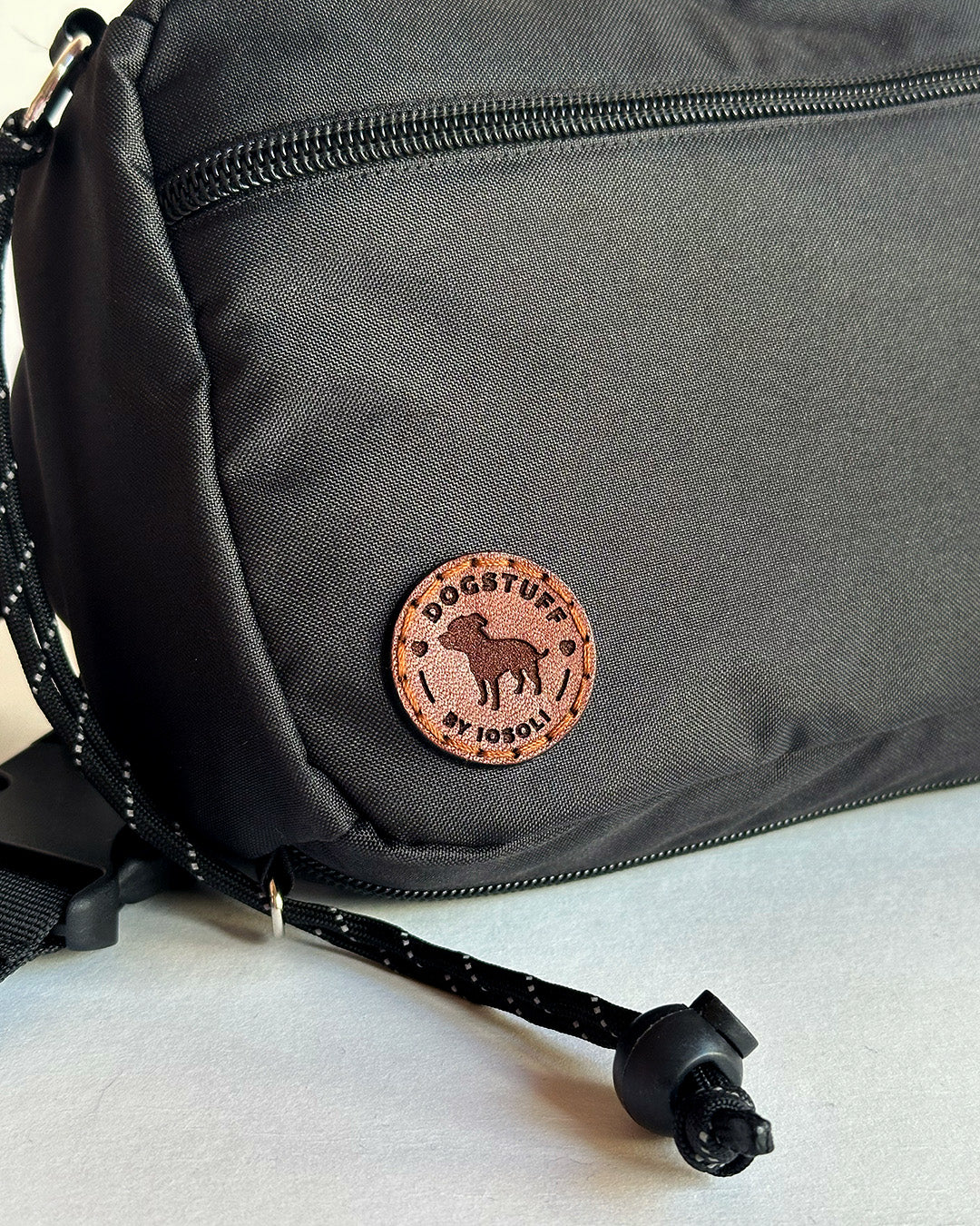 Dog-Walking Bag