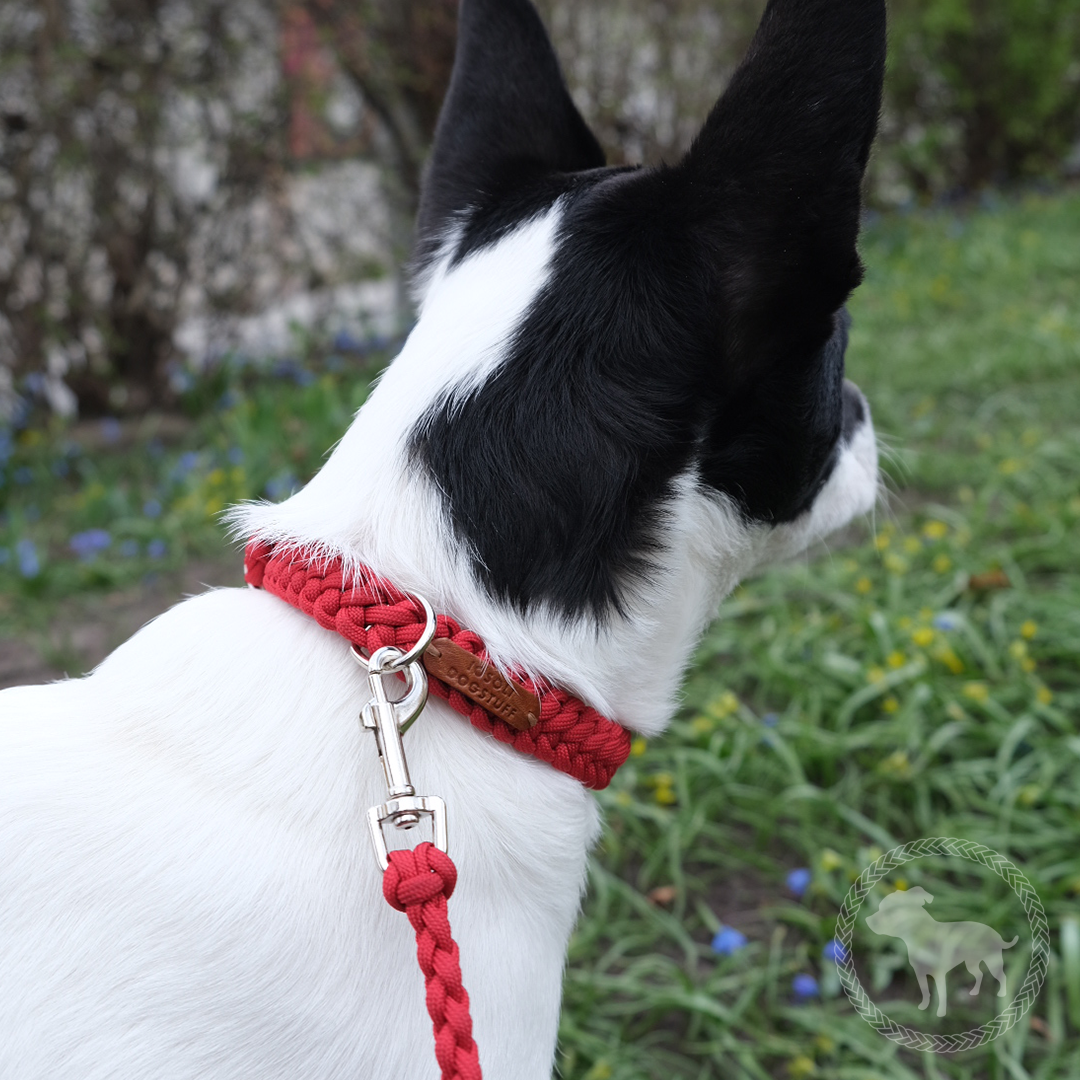 Just Me Collar