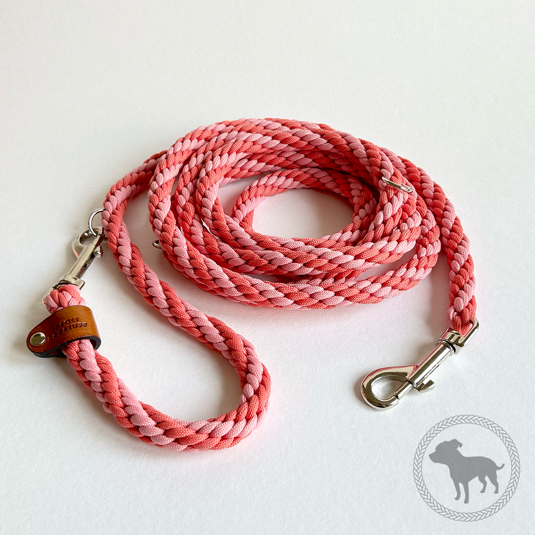 All Over Leash - 3m