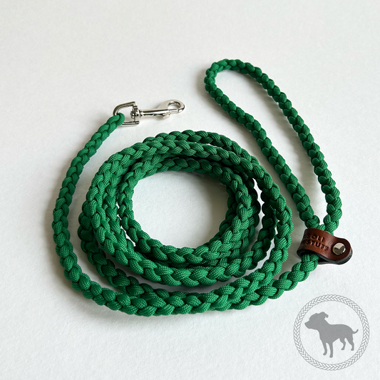 Smallish Leash