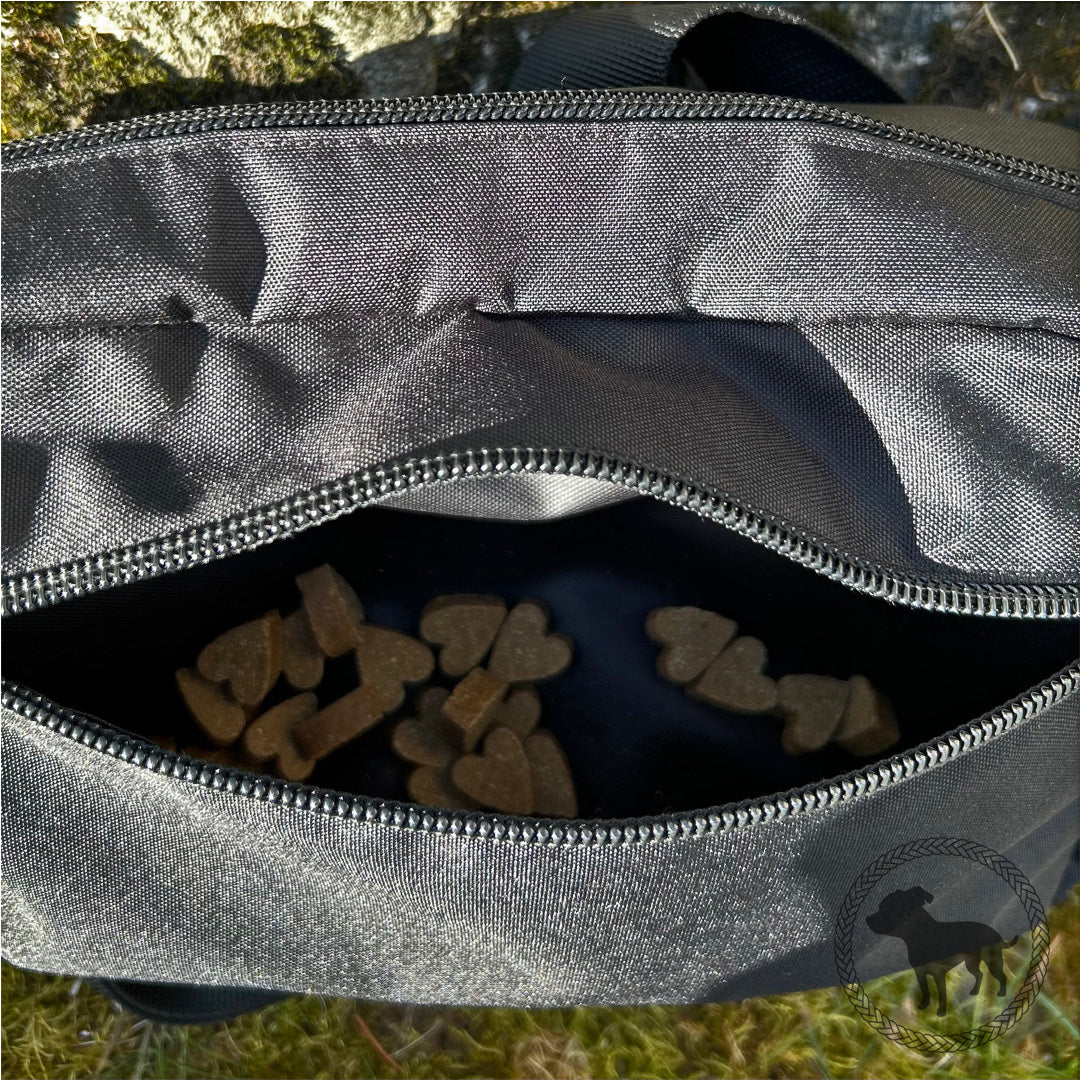 Dog-Walking Bag