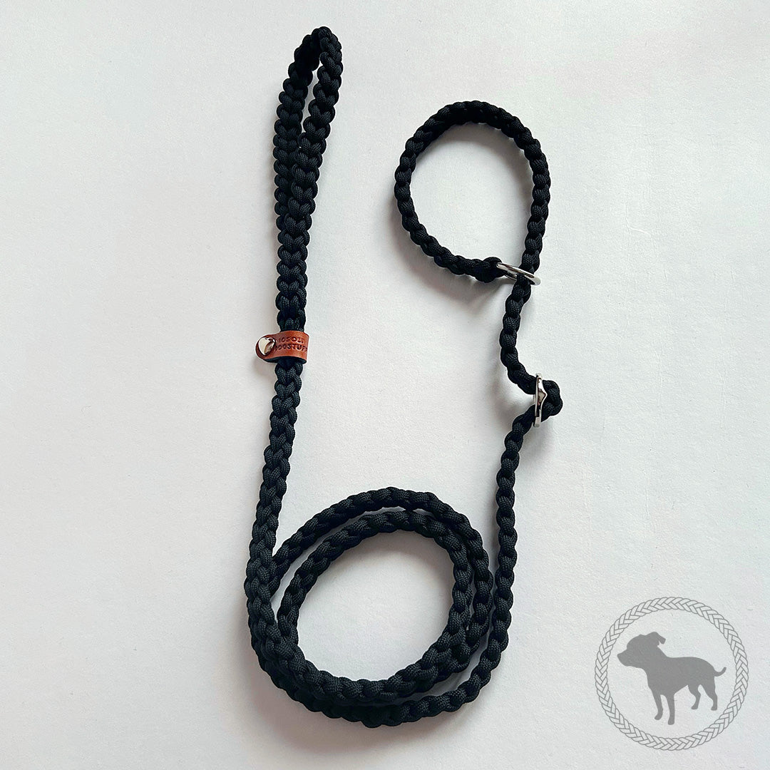 Love Retriver Leash