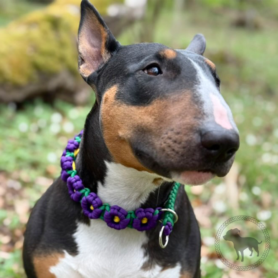 Midsummer Retriever Collar
