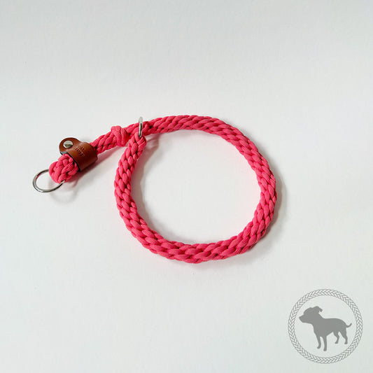 Retriever Collar