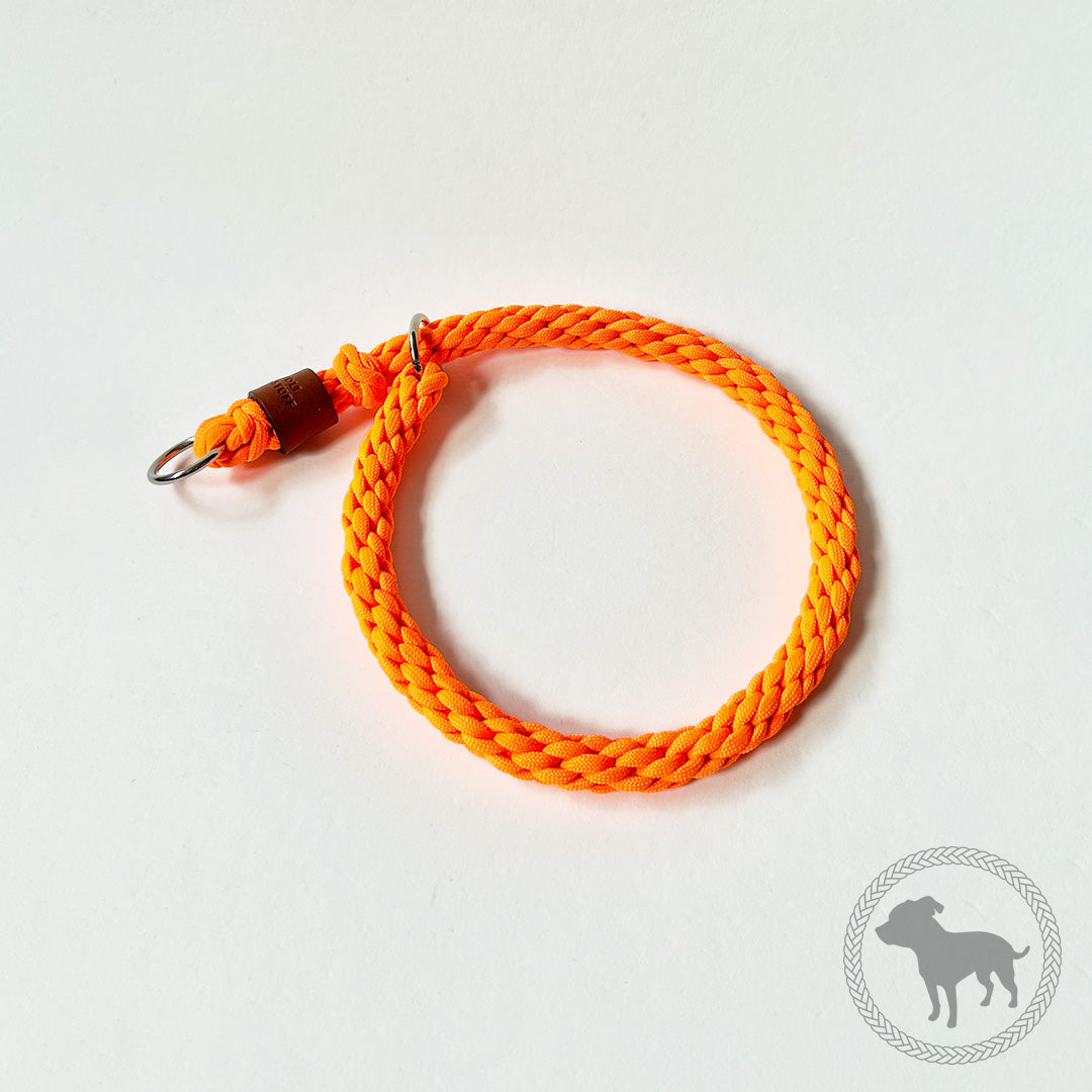 Retriever Collar