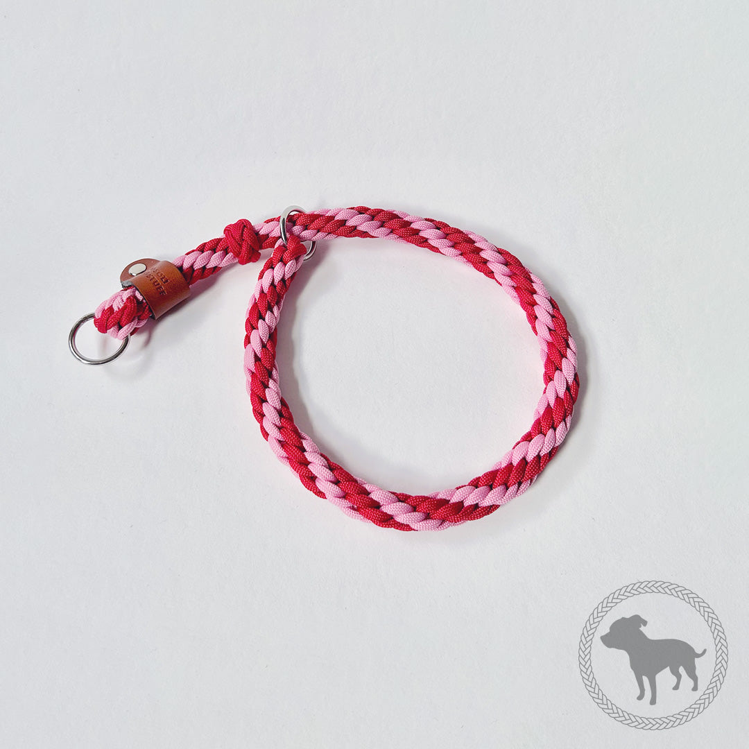 Retriever Collar