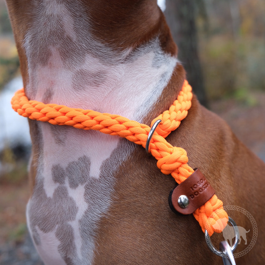 Retriever Collar