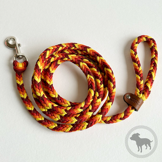 Braided Square Leash