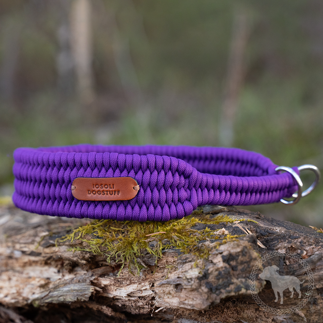 Wide Retriever Collar